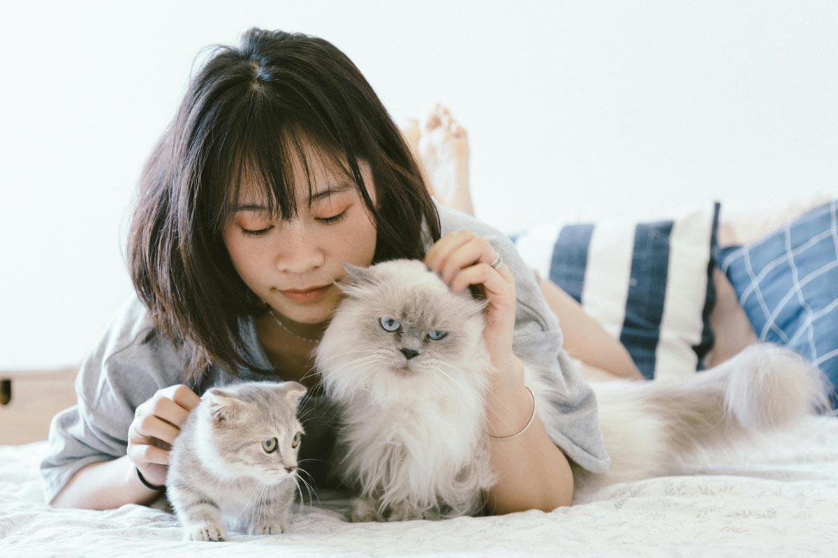Girl petting cats